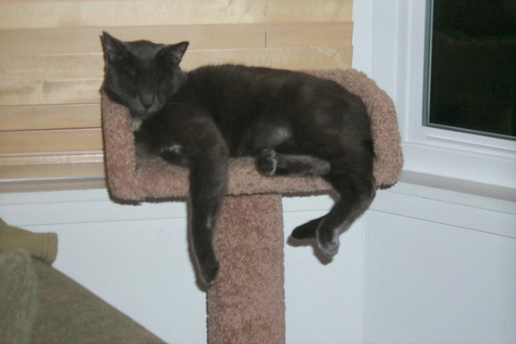 09_claude_asleep