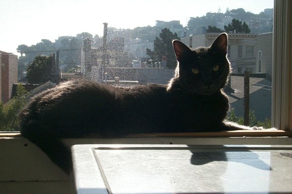 11_claudeinwindow